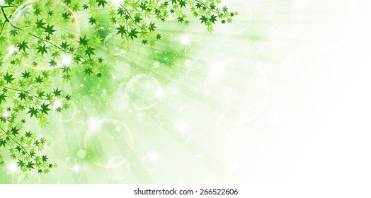  Leaf maple background