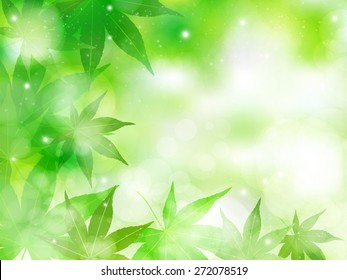 Leaf maple background