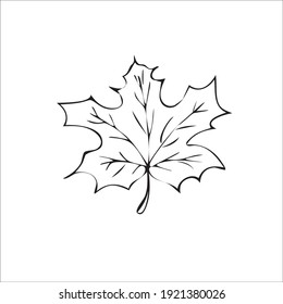 Leaf maple tree vector art illustration icon