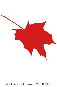 leaf maple vector