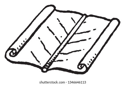 Una hoja con márgenes que se enrolla hacia la parte superior de la hoja a lo largo de los bordes del margen. Involute también se conoce como ilustración evolutiva, dibujo vintage de líneas o grabado.
