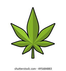 Hoja de marihuana. Plantas narcóticas. Hoja de cannabis verde. Ganja