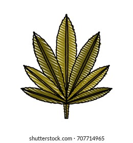 leaf marijuana  vector illustration