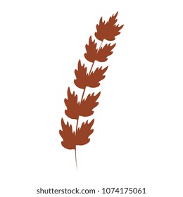 leaf of marine plant