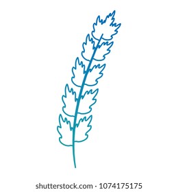 leaf of marine plant