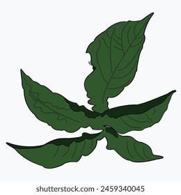 Leaf Mascot with Cartoon Character, Includes Flat Design and Sketch Version Vector Illustration