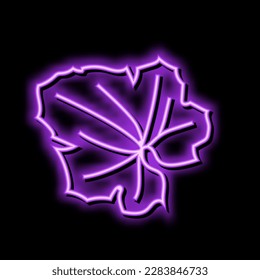 leaf melon cantaloupe vector de señal de luz de neón. ilustración de leaf melon cantaloupe