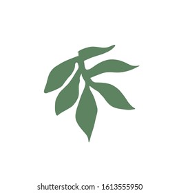 Leaf minimal texture, botanic background, nature icon, vector design 