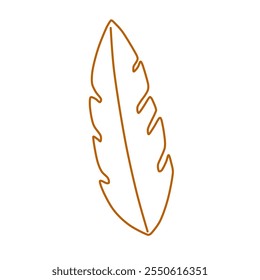 Leaf with minimal vector line art and hand drawing