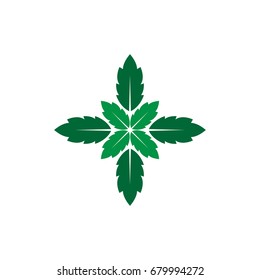 leaf mint green graphic template