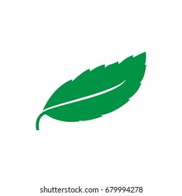 leaf mint green graphic template