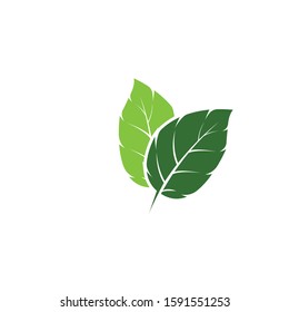 Leaf Mint Logo Template vector symbol nature