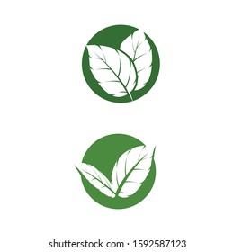 Leaf Mint Logo Template vector symbol nature