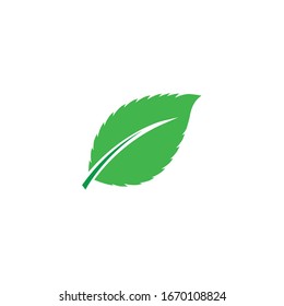 Leaf Mint Logo Template vector symbol nature