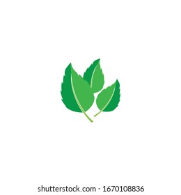 Leaf Mint Logo Template vector symbol nature