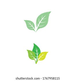 Leaf Mint Logo Template Vector Symbol Stock Vector (Royalty Free ...