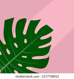 Leaf of Monstera Deliciosa plant from tropical rainforest isolated on white background. Can be used for greeting cards, flyers, invitations, web designs and more. The file has a trim path.