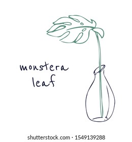 Leaf of monstera in glass vase. Element of interior decor. Line vector illustration on a white background