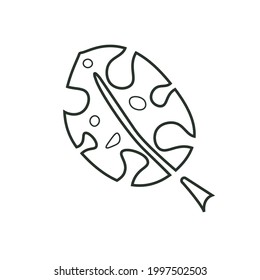 Leaf of Monstera, hand-drawn in the doodle style. Vector illustration isolated on white background.