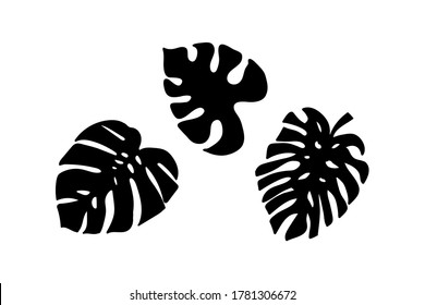 Leaf of monstera icon isolated on white. Doodle stencil. Vector stock illustration. EPS 10