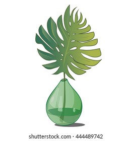 Leaf of monstera plant in a green glass vase. Interior design with exotic plants. Vector illustration.