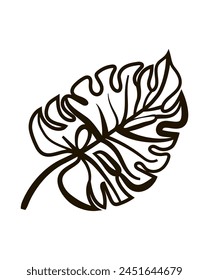 Leaf of the Monstera Plant in the style of a black line. Vector illustration isolated on a white background