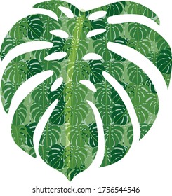 Leaf of Monstera plant Vector Template Illustration Design. Leaves of Monstera deliciosa in flat vector.