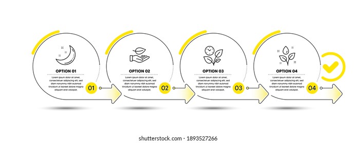 Leaf, Moon stars and Leaves line icons set. Timeline process infograph. Plants watering sign. Plant care, Night, Grow plant. Water drop. Nature set. Infographics timeline banner. Vector