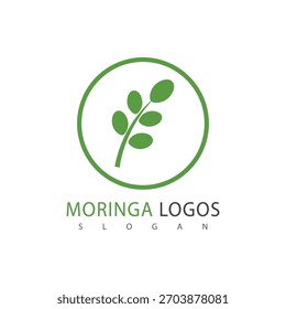 Símbolo herbal del logotipo de la moringa de la hoja