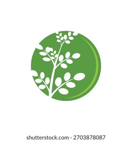 Símbolo herbal del logotipo de la moringa de la hoja
