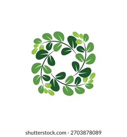 Leaf moringa logo herbal symbol