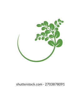 Símbolo herbal del logotipo de la moringa de la hoja