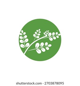 Símbolo herbal del logotipo de la moringa de la hoja