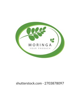 Símbolo herbal del logotipo de la moringa de la hoja