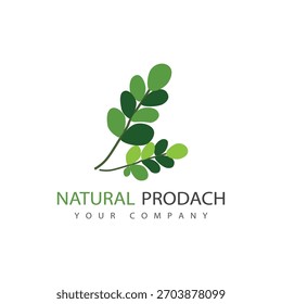 Leaf Moringa Logo Kräutersymbol