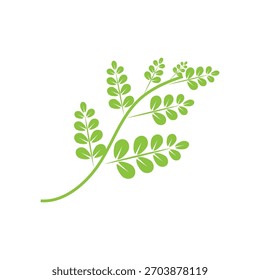 Leaf moringa logo herbal symbol