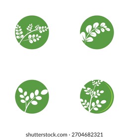 Leaf Moringa Logo Kräutersymbol