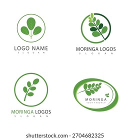 Leaf moringa logo herbal symbol