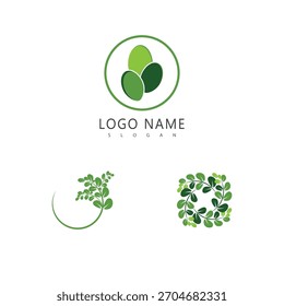 Símbolo herbal del logotipo de la moringa de la hoja