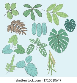 Leaf motif for any purpose