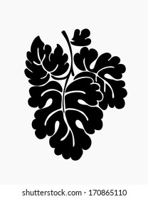 Leaf motif, black silhouettes on white background. Vector
