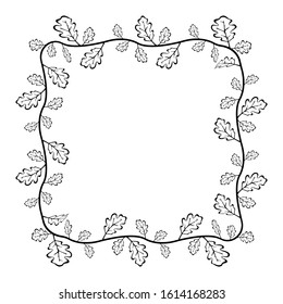 leaf motif frames, natural plant theme borders, delimiter for text or banner with isolated white background.