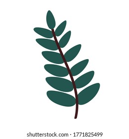 Leaf of a mountain ash isolated on a white background. A fallen Rowan leaf. Flat vector illustration 