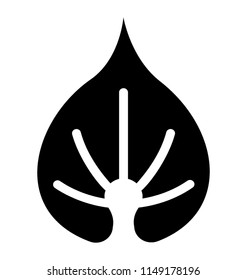 
A leaf with multiple veins inside having heart like shape called beech leaf 
