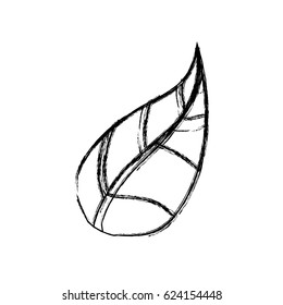 Leaf natural ecology
