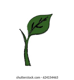 Leaf natural ecology