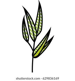 Leaf natural ecology
