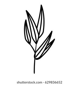 Leaf natural ecology