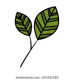 Leaf natural ecology