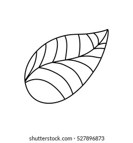 leaf natural ecology icon vector illustration graphic design